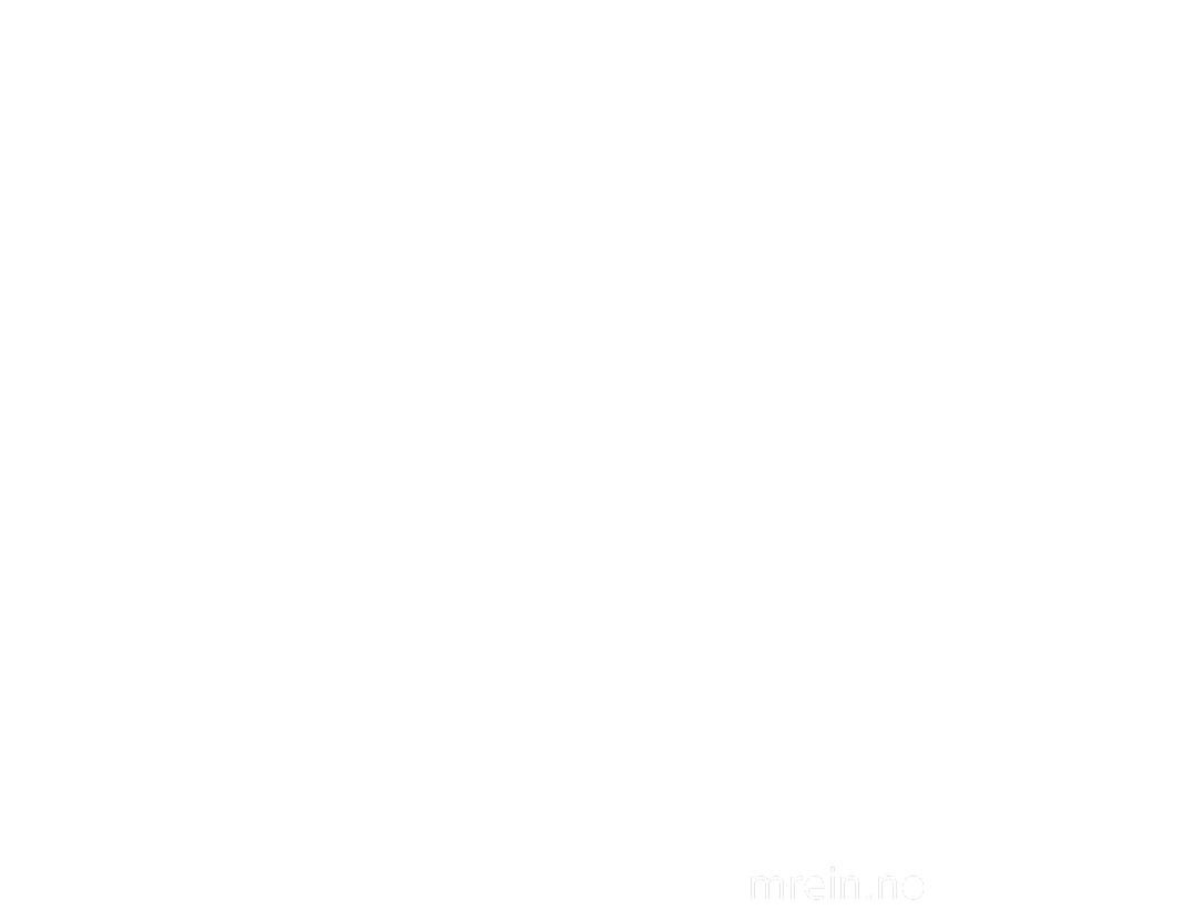 Lom Tamrein ny logo 2023 - hvit med undertekst 1